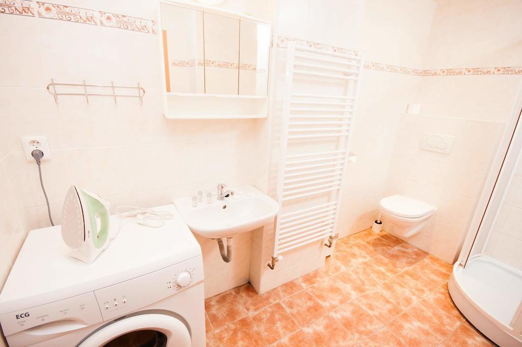 プラハFashion Loftアパートメント 部屋 写真